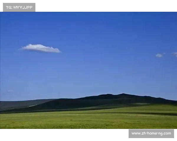 每日皮肤评选第七十五期你心中最爱的狗熊T0皮肤是什么 每日皮肤评选第七十五期你心中最爱的狗熊T0皮肤是什么